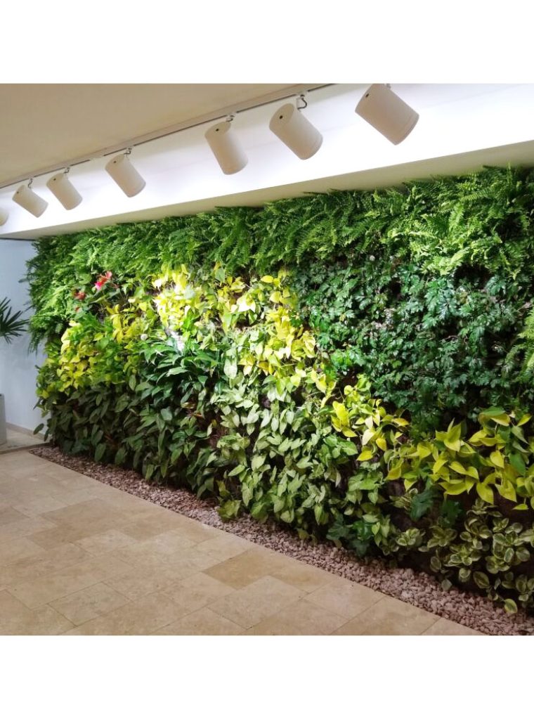 JARDIN VERTICAL