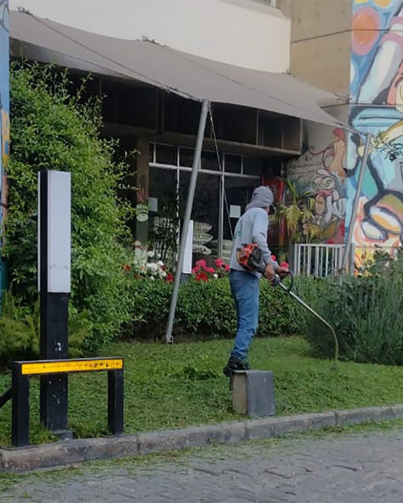MTTO DE JARDINES