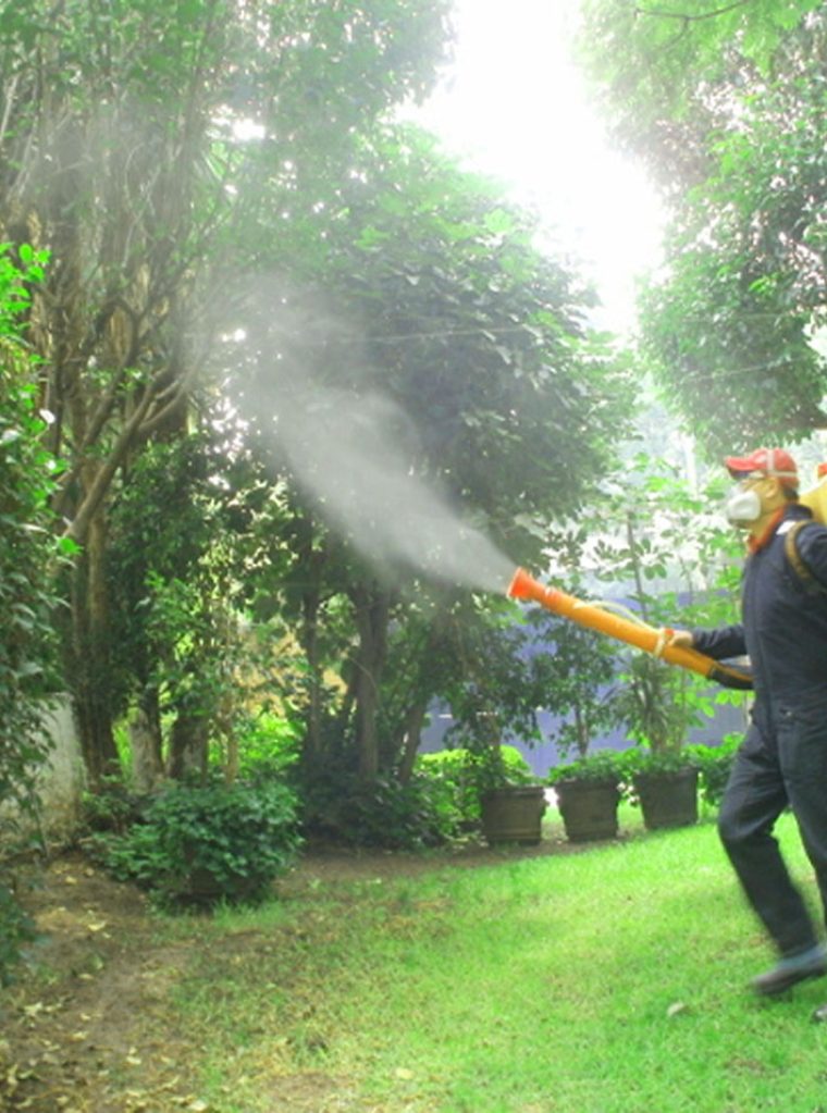 fumigacion1