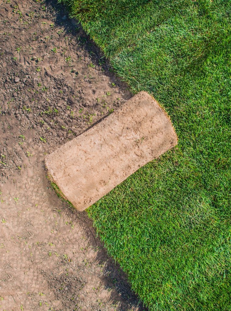 Grass Natural